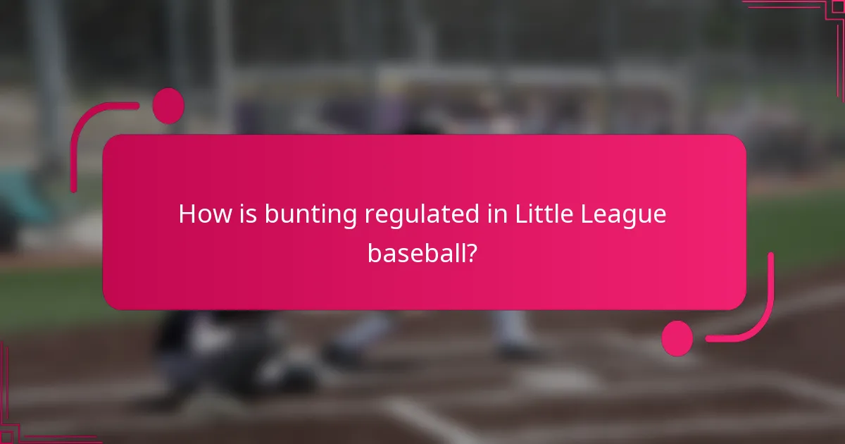 How is bunting regulated in Little League baseball?