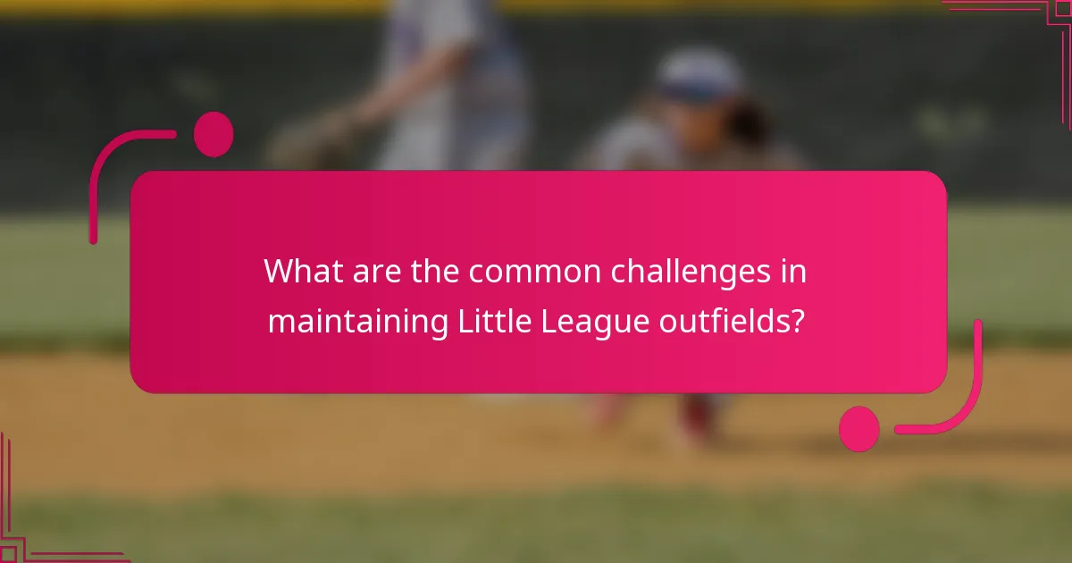 What are the common challenges in maintaining Little League outfields?